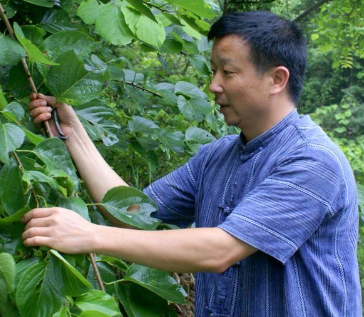 湖南、邵阳【周杨斌】全科苗医